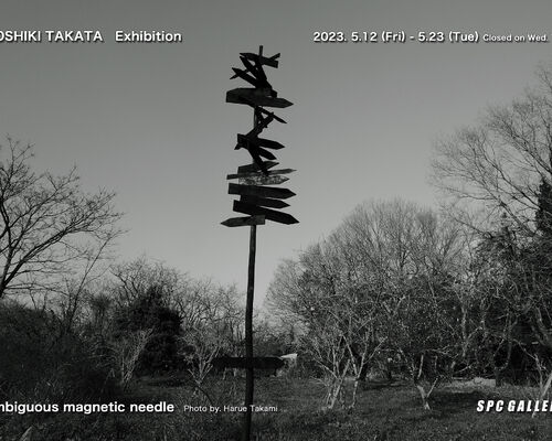 takata23dmRGB