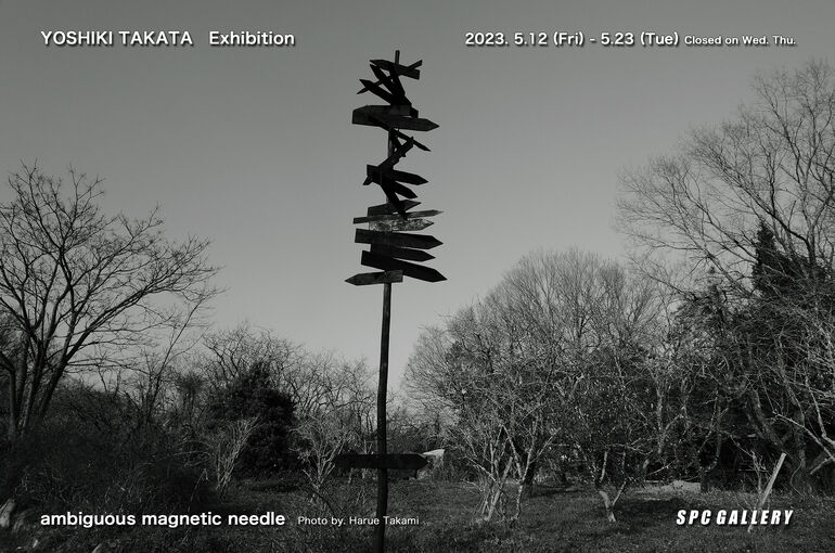 takata23dmRGB
