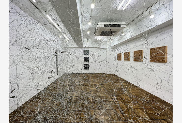 w26_8909