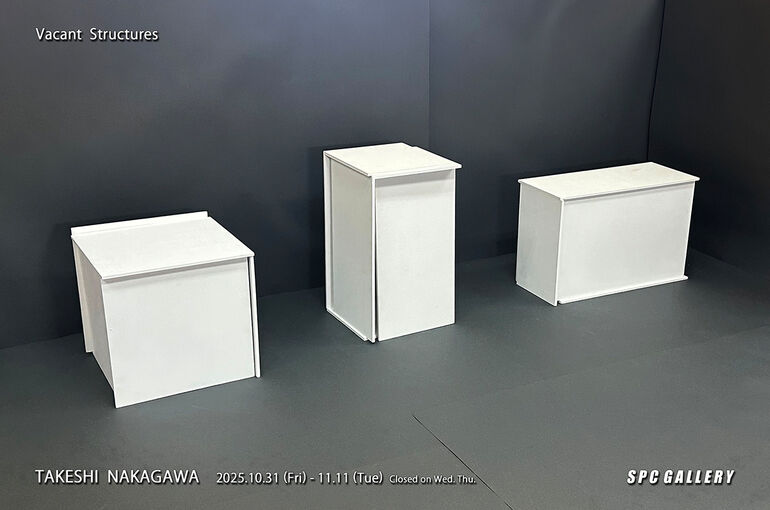 中川25DM用_統合RGB