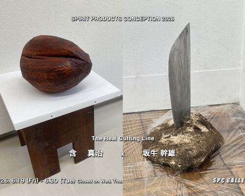 含坂牛26DM用_統合RGB