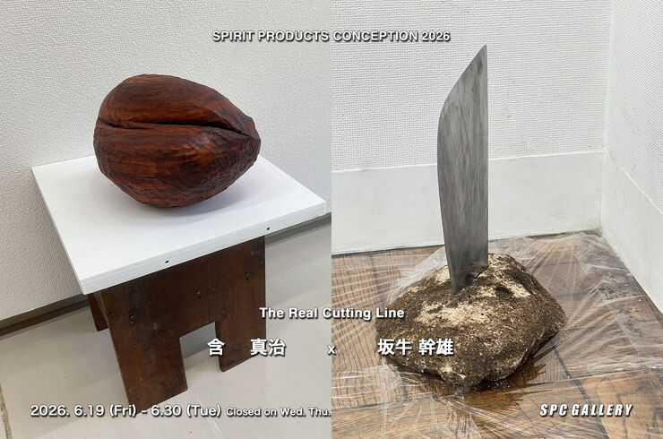 含坂牛26DM用_統合RGB
